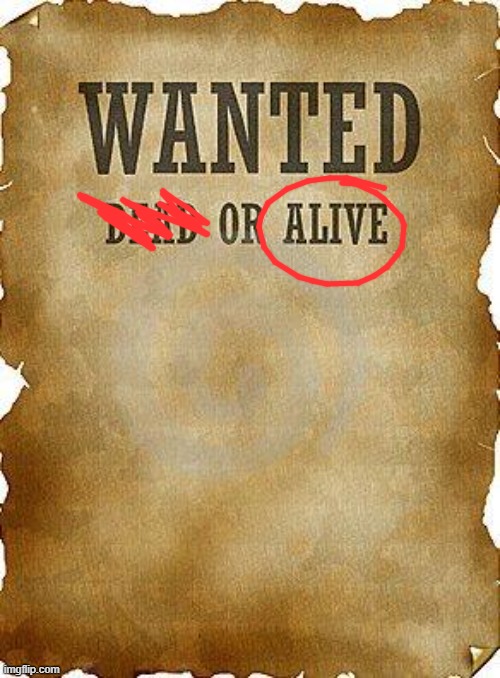 wanted dead or alive | image tagged in wanted dead or alive | made w/ Imgflip meme maker
