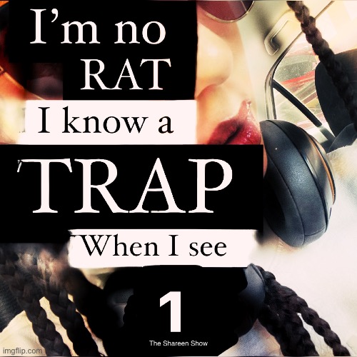 I’m no rat I know a trap when I see one | image tagged in rat,snitches,ptsd,paranoid,violence,crimes | made w/ Imgflip meme maker