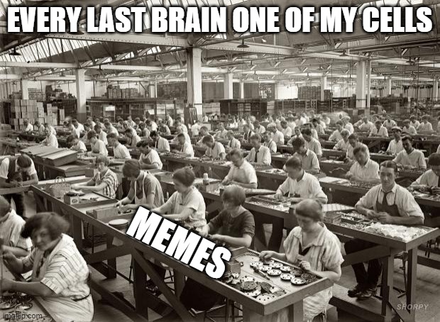 i just found out that you can make unlimited memes on certain streams. am happy (: | EVERY LAST BRAIN ONE OF MY CELLS; MEMES | image tagged in factory workers | made w/ Imgflip meme maker