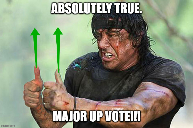 Two Thumbs Up Vote | ABSOLUTELY TRUE. MAJOR UP VOTE!!! | image tagged in two thumbs up vote | made w/ Imgflip meme maker