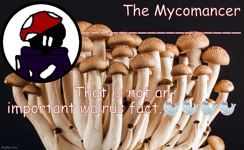 gyuhilj | That is not an important walrus fact.🦭🦭🦭🦭 | made w/ Imgflip meme maker