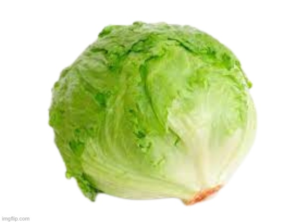i was bored so i uploaded this | image tagged in lettuce | made w/ Imgflip meme maker