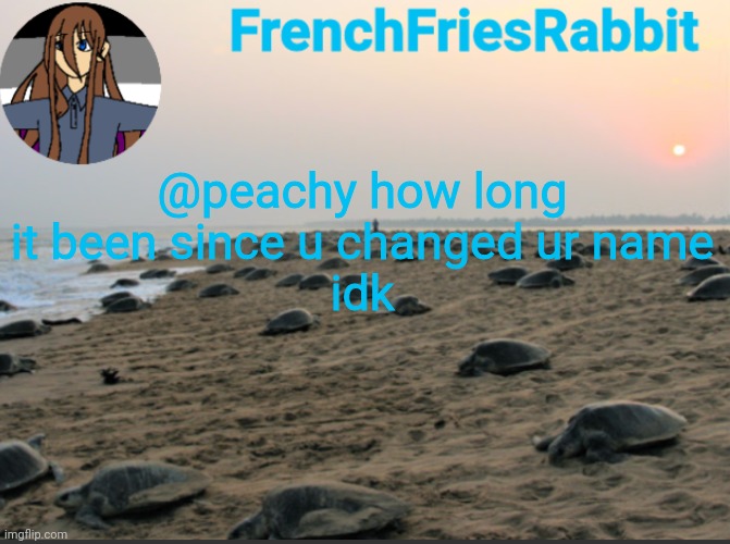 I like turtles | @peachy how long it been since u changed ur name
idk | image tagged in i like turtles | made w/ Imgflip meme maker