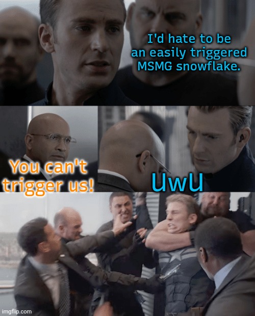 3 letters upset you that much? OwO | I'd hate to be an easily triggered MSMG snowflake. You can't trigger us! UwU | image tagged in captain america elevator,haters gonna hate,furry memes | made w/ Imgflip meme maker