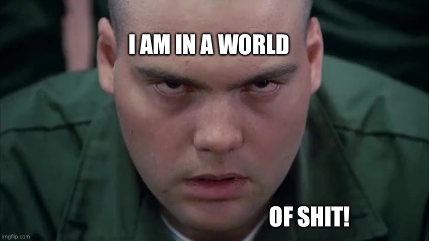 Private Pyle in the zone | I AM IN A WORLD OF SHIT! | image tagged in private pyle in the zone | made w/ Imgflip meme maker