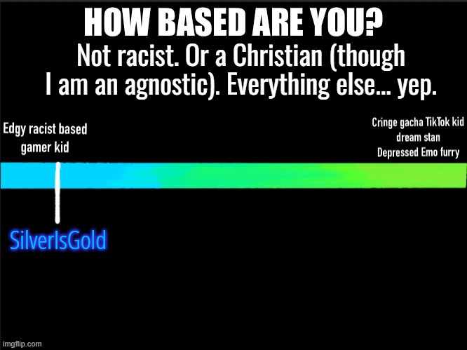 How based are you? | Not racist. Or a Christian (though I am an agnostic). Everything else... yep. SilverIsGold | image tagged in how based are you | made w/ Imgflip meme maker