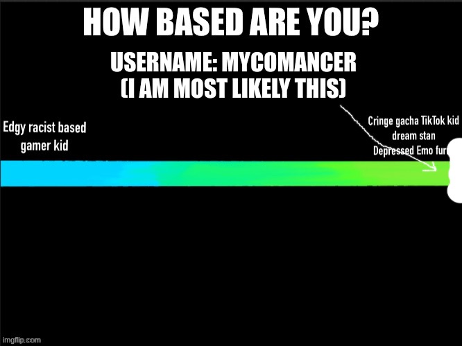 How based are you? | USERNAME: MYCOMANCER
(I AM MOST LIKELY THIS) | made w/ Imgflip meme maker