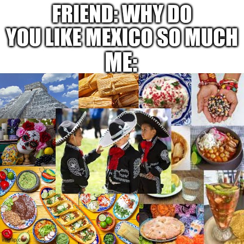 FRIEND: WHY DO YOU LIKE MEXICO SO MUCH; ME: | made w/ Imgflip meme maker