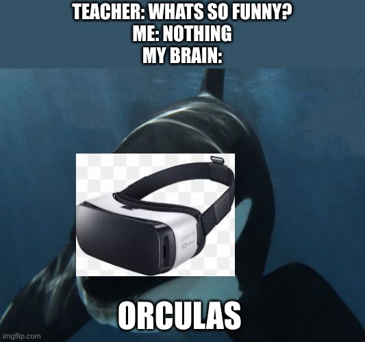 TEACHER: WHATS SO FUNNY?
ME: NOTHING
MY BRAIN:; ORCULAS | image tagged in orca | made w/ Imgflip meme maker