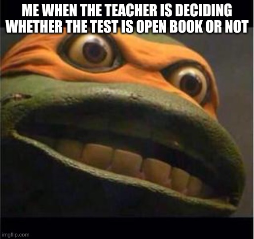 me when the teacher is deciding whether the test is open book or not | ME WHEN THE TEACHER IS DECIDING WHETHER THE TEST IS OPEN BOOK OR NOT | image tagged in teen age mutant ninja turtle | made w/ Imgflip meme maker