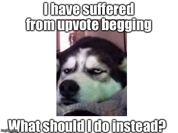 Seriously, what do I do? | I have suffered from upvote begging; What should I do instead? | image tagged in l | made w/ Imgflip meme maker