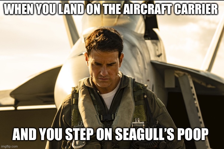 Seagull’s poop | WHEN YOU LAND ON THE AIRCRAFT CARRIER; AND YOU STEP ON SEAGULL’S POOP | image tagged in top gun | made w/ Imgflip meme maker
