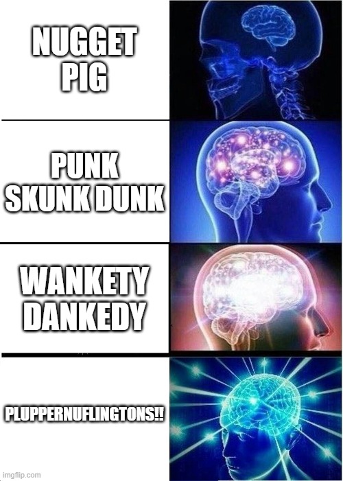 Expanding Brain Meme | NUGGET PIG; PUNK SKUNK DUNK; WANKETY DANKEDY; PLUPPERNUFLINGTONS!! | image tagged in memes,expanding brain | made w/ Imgflip meme maker