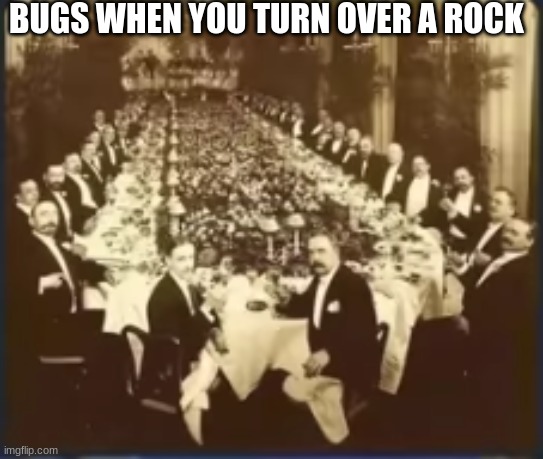 They just be chilling under there | BUGS WHEN YOU TURN OVER A ROCK | image tagged in bugs,rock,its a meme laugh | made w/ Imgflip meme maker