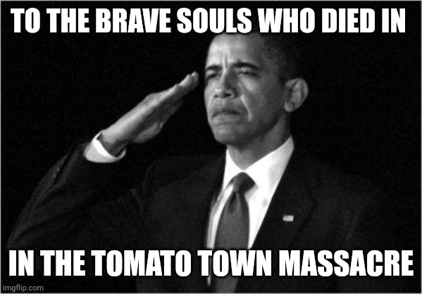 ??? | TO THE BRAVE SOULS WHO DIED IN; IN THE TOMATO TOWN MASSACRE | image tagged in obama-salute | made w/ Imgflip meme maker