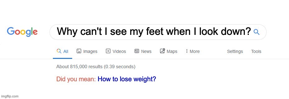 Why google? | Why can't I see my feet when I look down? How to lose weight? | image tagged in did you mean,fun,funny memes,funny,fat | made w/ Imgflip meme maker