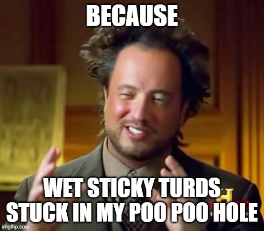 Ancient Aliens | BECAUSE; WET STICKY TURDS STUCK IN MY POO POO HOLE | image tagged in memes,ancient aliens | made w/ Imgflip meme maker