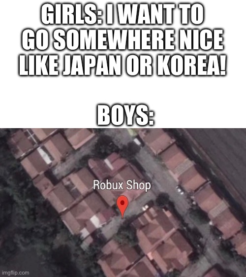 me when robux shop | GIRLS: I WANT TO GO SOMEWHERE NICE LIKE JAPAN OR KOREA! BOYS: | image tagged in robux | made w/ Imgflip meme maker