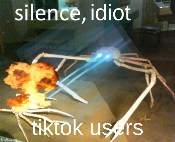 Silence Crab | idiot; tiktok users | image tagged in silence crab | made w/ Imgflip meme maker