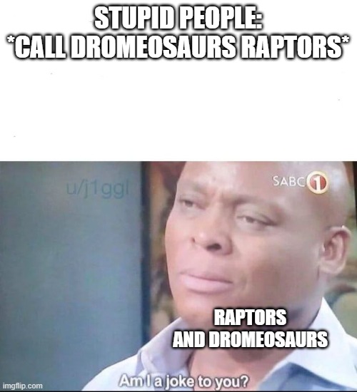 am I a joke to you | STUPID PEOPLE: *CALL DROMEOSAURS RAPTORS*; RAPTORS AND DROMEOSAURS | image tagged in am i a joke to you,raptors,dinosaurs,birds,dromeosaurs,stupid people | made w/ Imgflip meme maker