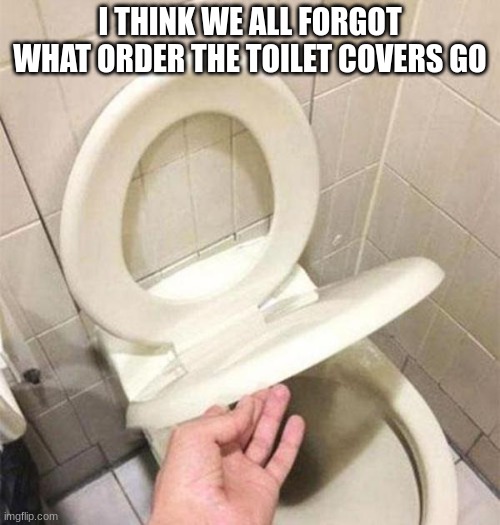 How will I do my business If i need to go #2 | I THINK WE ALL FORGOT WHAT ORDER THE TOILET COVERS GO | image tagged in you had one job,memes | made w/ Imgflip meme maker