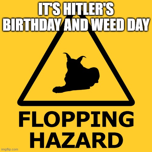 Flopping hazard | IT'S HITLER'S BIRTHDAY AND WEED DAY | image tagged in flopping hazard | made w/ Imgflip meme maker