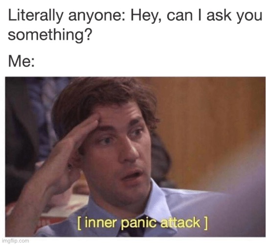 Inner Panic | image tagged in funny,meme,inner panic attack | made w/ Imgflip meme maker