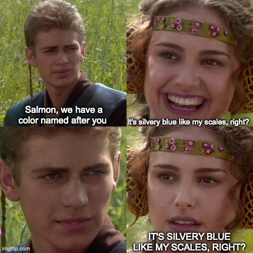 Salmon's color | Salmon, we have a color named after you; It's silvery blue like my scales, right? IT'S SILVERY BLUE LIKE MY SCALES, RIGHT? | image tagged in anakin padme 4 panel | made w/ Imgflip meme maker
