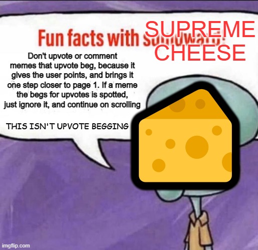 I wonder if I get called a beggar... | SUPREME CHEESE; 🧀; Don't upvote or comment memes that upvote beg, because it gives the user points, and brings it one step closer to page 1. If a meme the begs for upvotes is spotted, just ignore it, and continue on scrolling; THIS ISN'T UPVOTE BEGGING | image tagged in fun facts with squidward,memes,funny,fyp,upvote begging | made w/ Imgflip meme maker