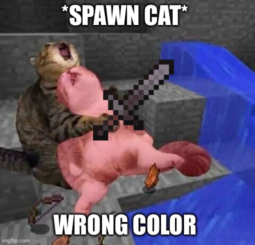 Fun! | *SPAWN CAT*; WRONG COLOR | image tagged in dead minecraft cat meme | made w/ Imgflip meme maker