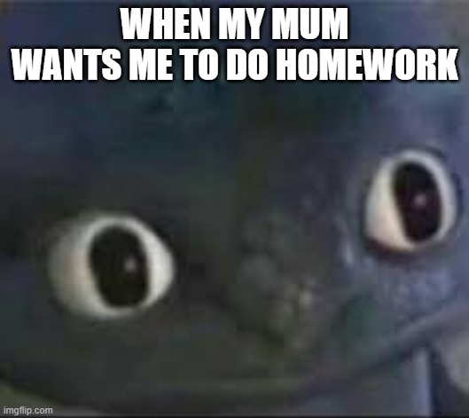 Toothless ._. face | WHEN MY MUM WANTS ME TO DO HOMEWORK | image tagged in toothless _ face | made w/ Imgflip meme maker