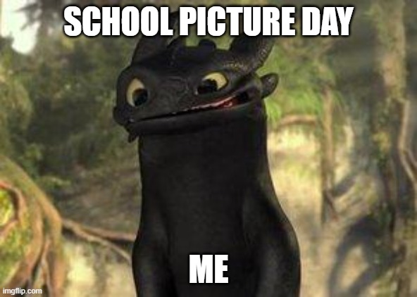 Toothless | SCHOOL PICTURE DAY; ME | image tagged in toothless | made w/ Imgflip meme maker