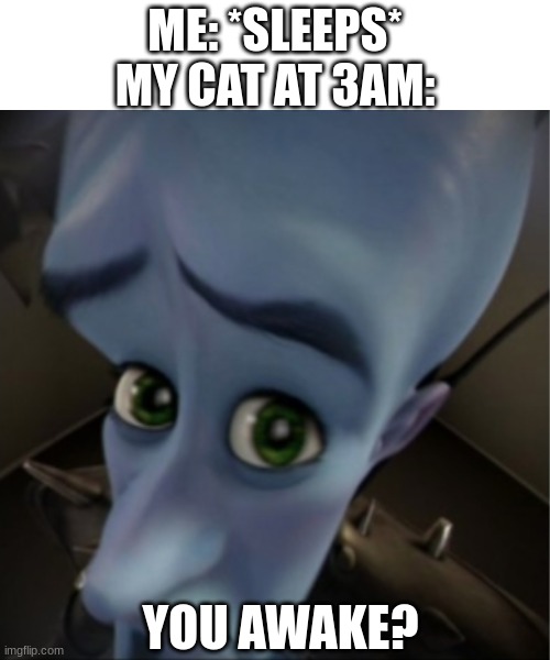 My cat is hungry and I'm angry! | ME: *SLEEPS*
MY CAT AT 3AM:; YOU AWAKE? | image tagged in megamind peeking,cats,funny,memes,dankmemes,3am | made w/ Imgflip meme maker