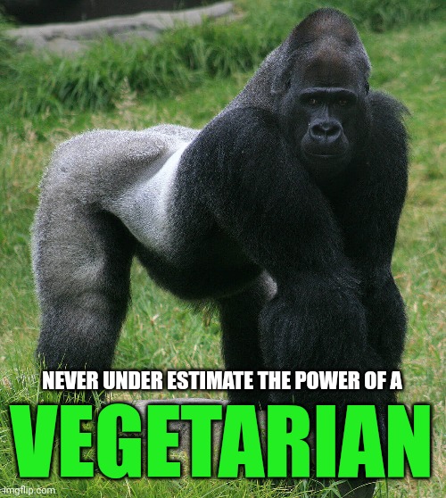 Gorillas Are Fantastic Aren't They?  Strong.  Intelligent.  Beautiful.  Healthy! | NEVER UNDER ESTIMATE THE POWER OF A; VEGETARIAN | image tagged in vegetarian,gorilla,gorillas are vegetarians,yummy veggies,strength,memes | made w/ Imgflip meme maker