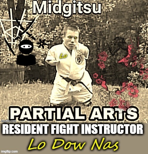 Lo | image tagged in martial arts | made w/ Imgflip meme maker