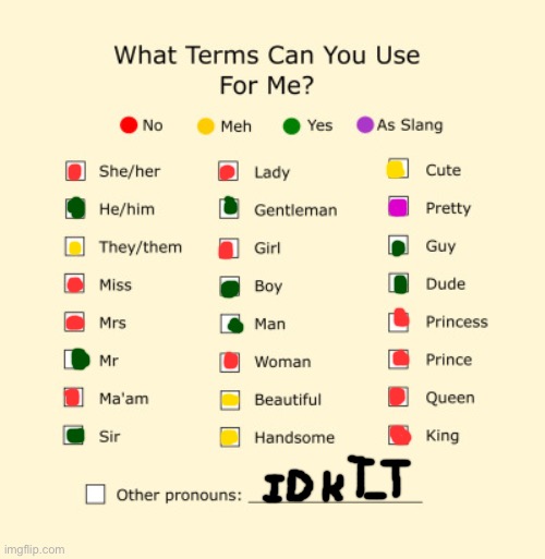 N | image tagged in pronouns sheet | made w/ Imgflip meme maker