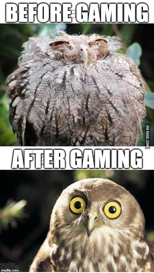 Befor gaming and after gaming. | BEFORE GAMING; AFTER GAMING | image tagged in funny | made w/ Imgflip meme maker