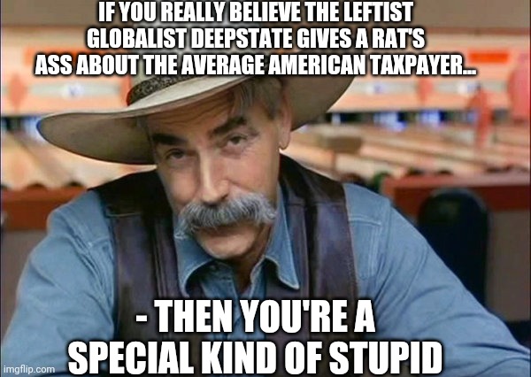 DRAIN THE SWAMP | IF YOU REALLY BELIEVE THE LEFTIST GLOBALIST DEEPSTATE GIVES A RAT'S ASS ABOUT THE AVERAGE AMERICAN TAXPAYER... - THEN YOU'RE A SPECIAL KIND OF STUPID | image tagged in sam elliott special kind of stupid,libtard,douchebag,finished,drain the swamp trump,vote trump | made w/ Imgflip meme maker