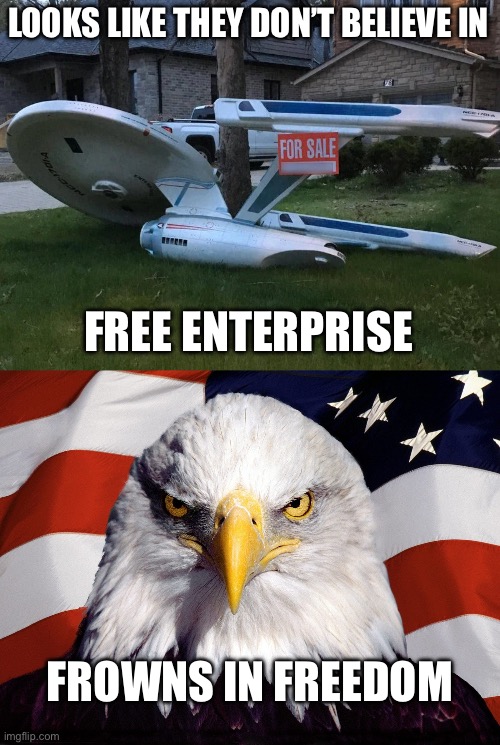 Free enterprise | LOOKS LIKE THEY DON’T BELIEVE IN; FREE ENTERPRISE; FROWNS IN FREEDOM | image tagged in freedom eagle,enterprise,star trek,freedom | made w/ Imgflip meme maker
