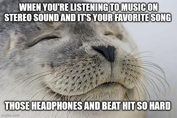 Satisfied seal | WHEN YOU'RE LISTENING TO MUSIC ON STEREO SOUND AND IT'S YOUR FAVORITE SONG; THOSE HEADPHONES AND BEAT HIT SO HARD | image tagged in memes,satisfied seal,music,listening | made w/ Imgflip meme maker