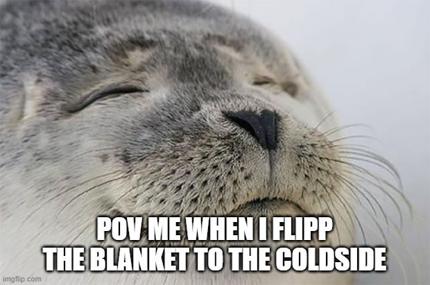satiafying | POV ME WHEN I FLIPP THE BLANKET TO THE COLDSIDE | image tagged in memes,satisfied seal,facts | made w/ Imgflip meme maker