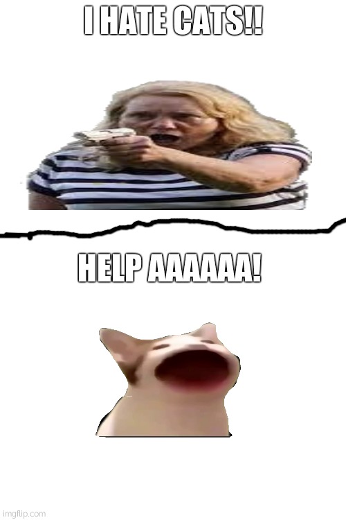 hm. she hates cats | I HATE CATS!! HELP AAAAAA! | image tagged in pop cat | made w/ Imgflip meme maker