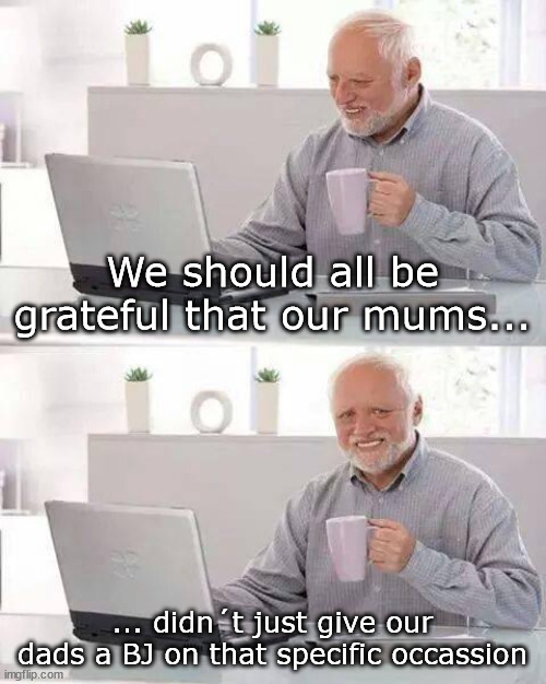 The real reason you were born | We should all be grateful that our mums... ... didn´t just give our dads a BJ on that specific occassion | image tagged in memes,hide the pain harold | made w/ Imgflip meme maker