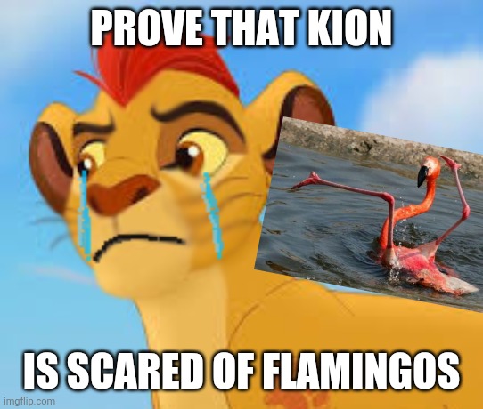 More proof is in the comments | PROVE THAT KION; IS SCARED OF FLAMINGOS | image tagged in crying kion crybaby,us-president-joe-biden,lion guard,the lion guard | made w/ Imgflip meme maker