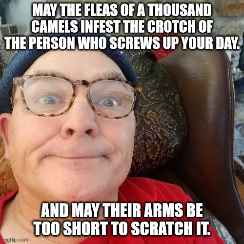Durl Earl | MAY THE FLEAS OF A THOUSAND CAMELS INFEST THE CROTCH OF THE PERSON WHO SCREWS UP YOUR DAY. AND MAY THEIR ARMS BE TOO SHORT TO SCRATCH IT. | image tagged in durl earl | made w/ Imgflip meme maker