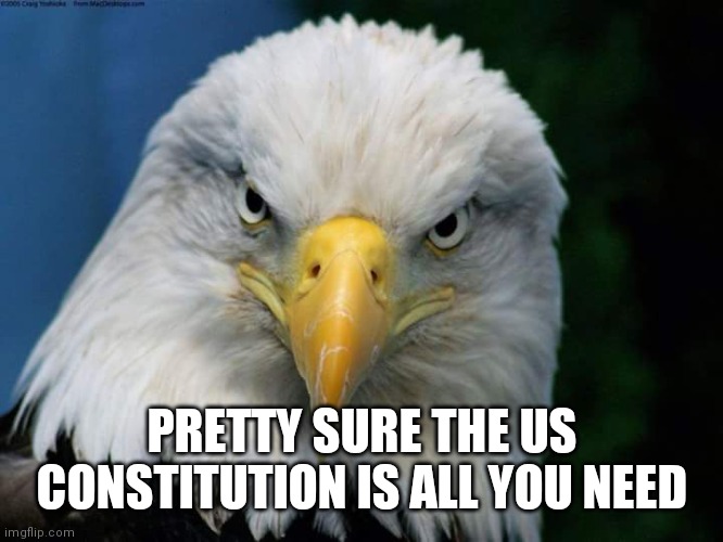 American Bald Eagle | PRETTY SURE THE US CONSTITUTION IS ALL YOU NEED | image tagged in american bald eagle | made w/ Imgflip meme maker
