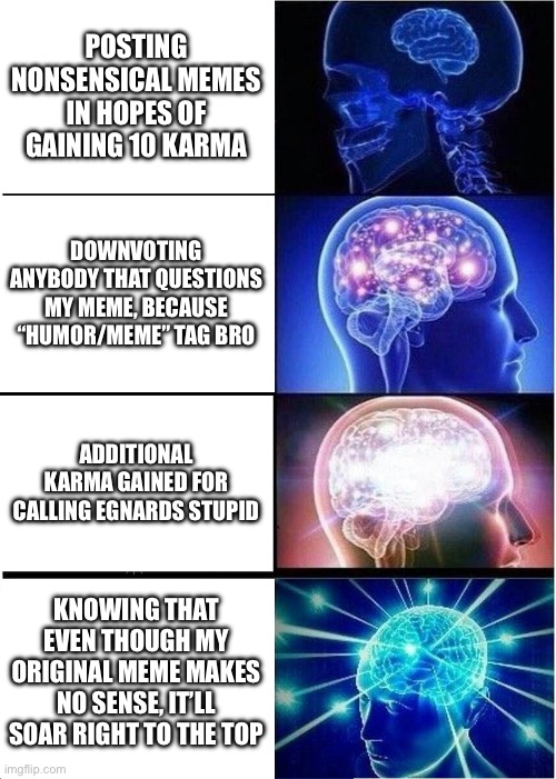 Expanding Brain Meme | POSTING NONSENSICAL MEMES IN HOPES OF GAINING 10 KARMA; DOWNVOTING ANYBODY THAT QUESTIONS MY MEME, BECAUSE “HUMOR/MEME” TAG BRO; ADDITIONAL KARMA GAINED FOR CALLING EGNARDS STUPID; KNOWING THAT EVEN THOUGH MY ORIGINAL MEME MAKES NO SENSE, IT’LL SOAR RIGHT TO THE TOP | image tagged in memes,expanding brain | made w/ Imgflip meme maker