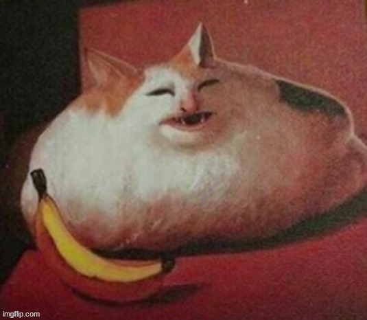 average discord mod | made w/ Imgflip meme maker