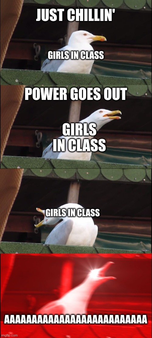 Inhaling Seagull | JUST CHILLIN'; GIRLS IN CLASS; POWER GOES OUT; GIRLS IN CLASS; GIRLS IN CLASS; AAAAAAAAAAAAAAAAAAAAAAAAAA | image tagged in memes,inhaling seagull,class | made w/ Imgflip meme maker