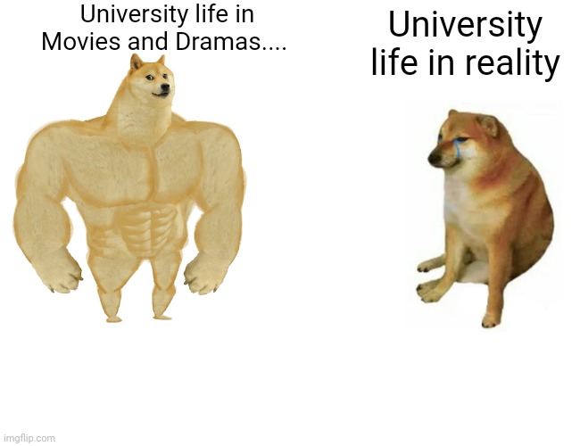 Buff Doge vs. Cheems | University life in Movies and Dramas.... University life in reality | image tagged in memes,buff doge vs cheems,funny memes,funny,dogs,dog | made w/ Imgflip meme maker